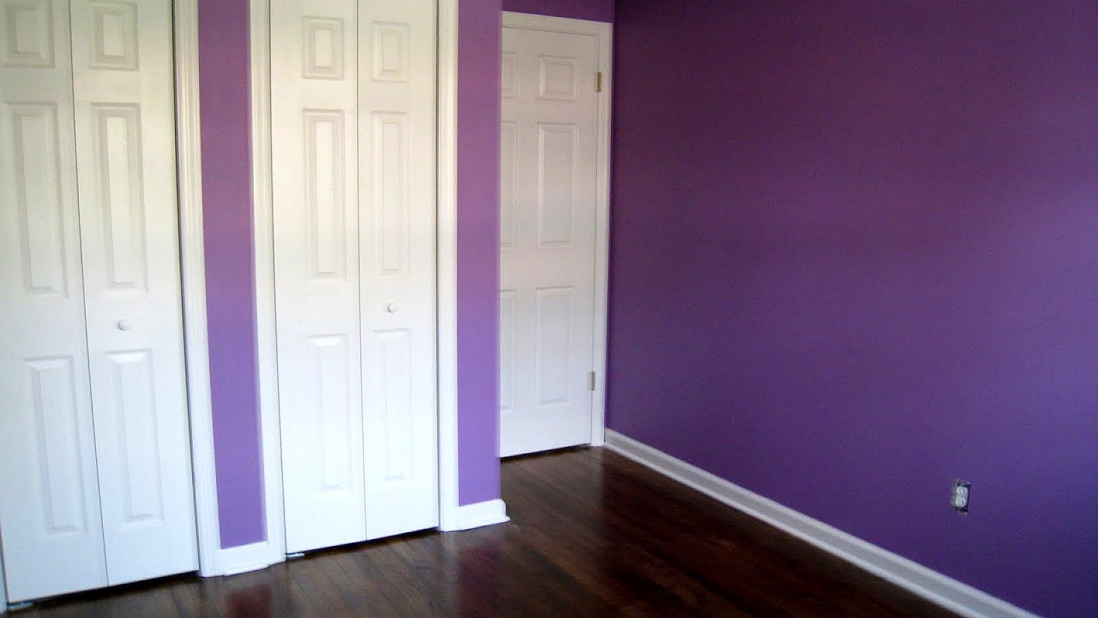 Purple Purple Paint Law Purple Choices