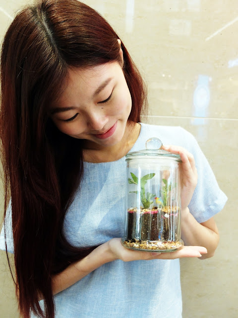 Where to get terrariums in Singapore