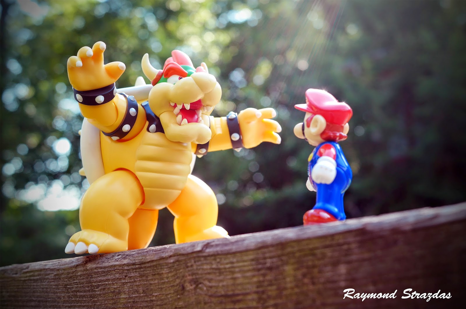 Mario vs. Bowser battle photo by raystrazdas