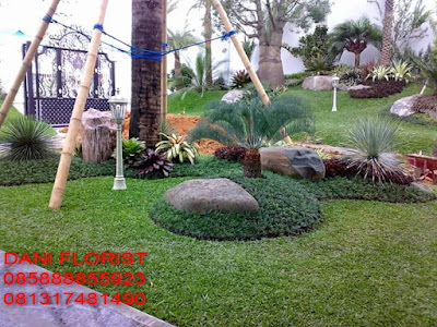 Tukang Taman Jakarta Selatan