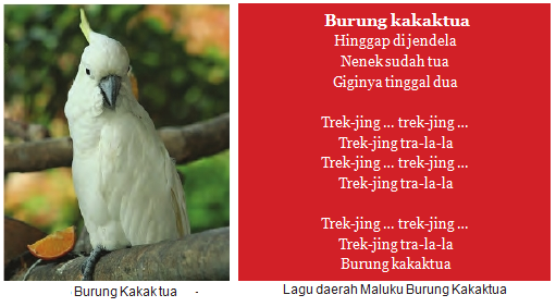 Keberagaman Suku Bangsa Dan Budaya Plengdut Com Learning