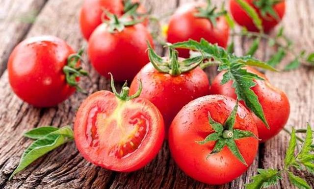12 Manfaat Dan Khasiat Kandungan Gizi Buah Tomat Untuk Kesehatan Tubuh Manusia 12 Manfaat Dan Khasiat Kandungan Gizi Buah Tomat Untuk Kesehatan Tubuh Manusia