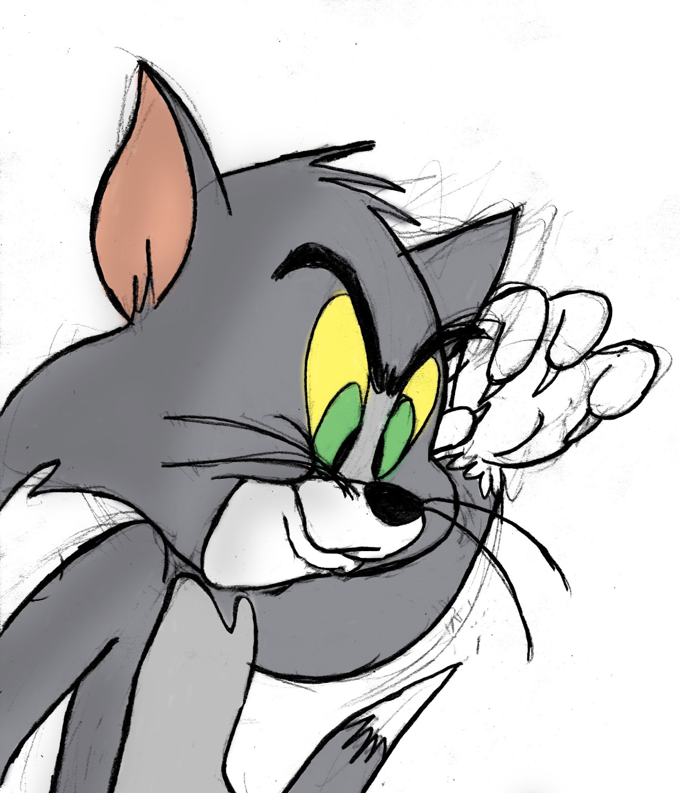 Tom E Jerry Chi è Il Gatto