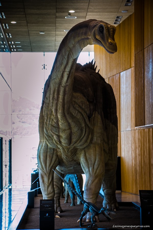 Museo de Paleontología de Castilla la Mancha (MUPA). Tierra de Dinosaurios