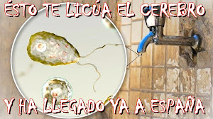 La imparable expansión de uno de los parásitos más letales del mundo