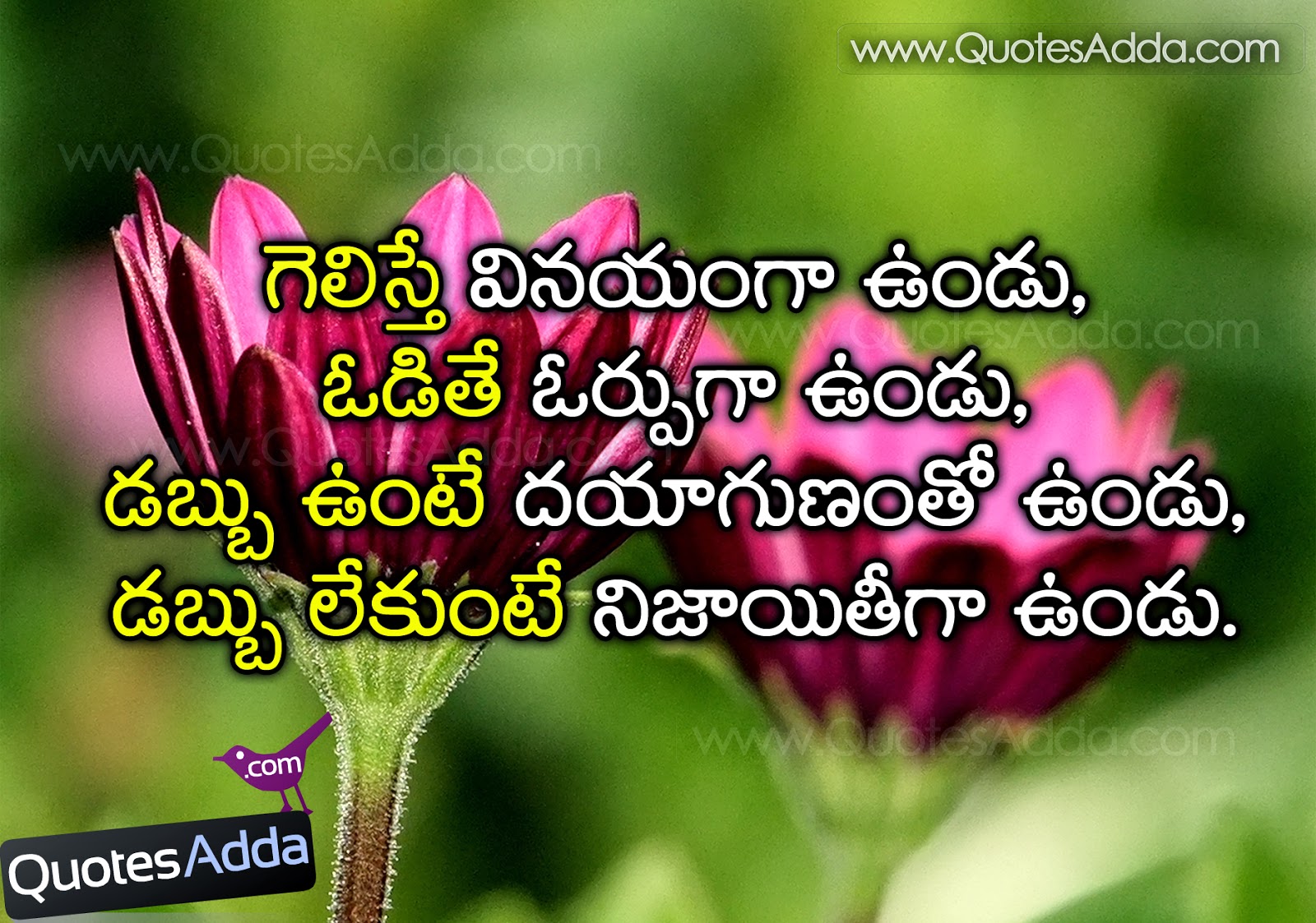 Quotes Oorpuleni Manishi Http Mafunnies Blo Com Quotes Oorpuleni Manishi Html Quotes With Images Pinterest Quotes Oorpuleni Manishi Http Mafunnies Blo Com Quotes Oorpuleni Manishi Html Quotes With Images Pinterest