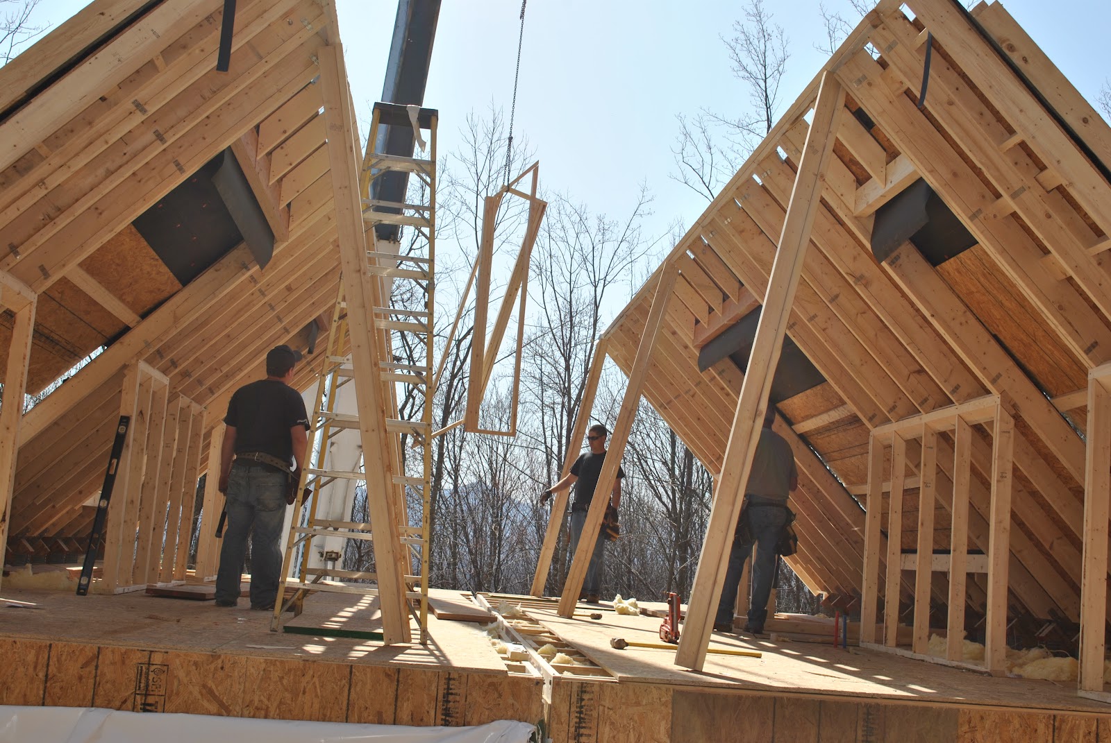 Our New House Raising the Roof