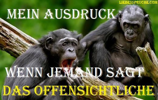 lustige sprüche, lustige sprüche bilder, lustige sprüche für freunde lustige-sprüche