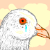 When Doves Cry: Imprudently Cautious