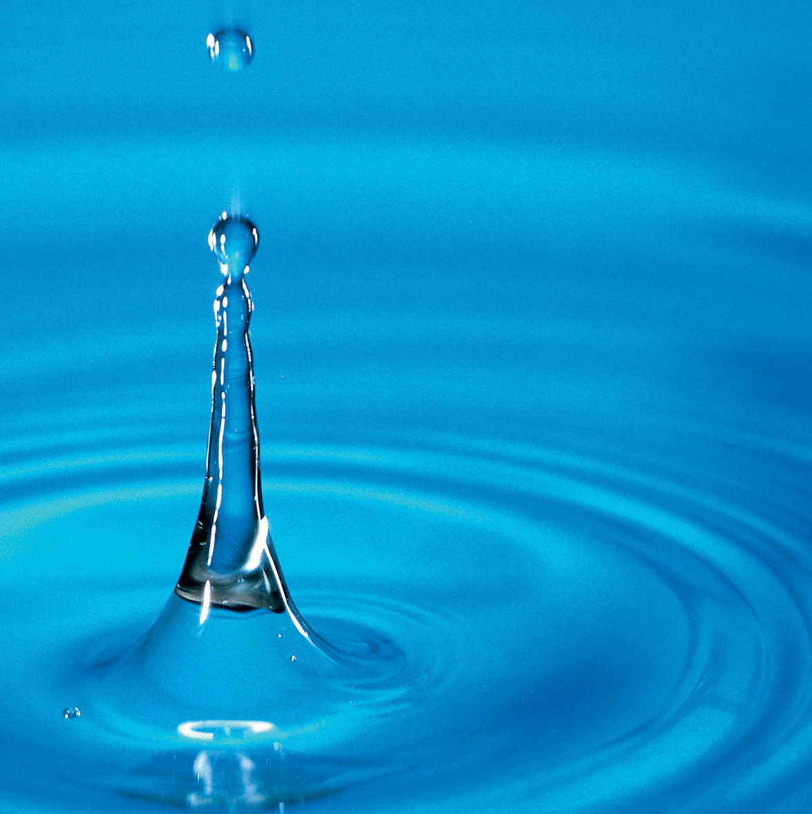 création agencement d #39 espaces outdoor espace nature jardin paysagiste