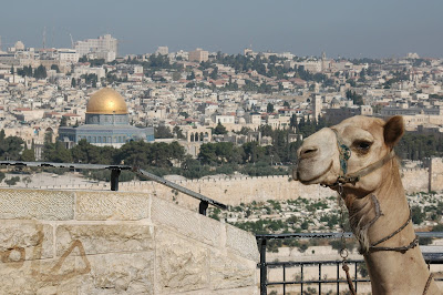 A principios de esta semana, el Ministerio de Turismo de Israel dio a conocer un informe que resume los viajes internacionales a Israel en 2016, con la mayor afluencia de visitantes que llegan en el último trimestre del año.
