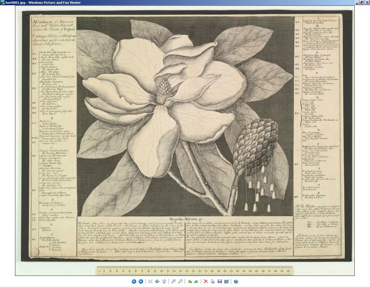 John Johnson Collection's Ephemera Resources blog Seed catalogues 2