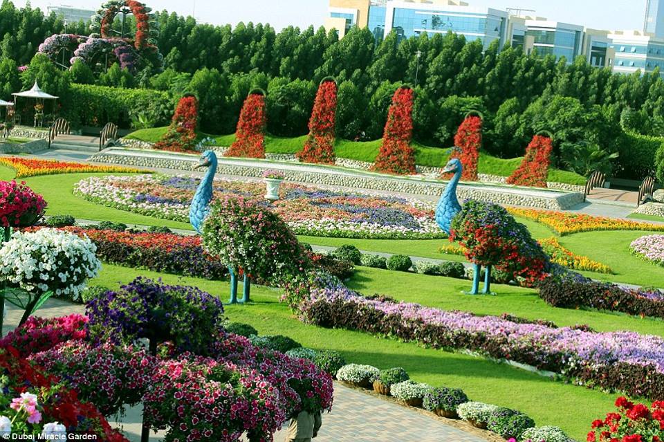 Le plus beau jardin du monde 45 millions de fleurs / the most beautiful garden in the world with