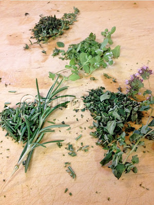herbs, thyme, marjoram, oregano, rosemary