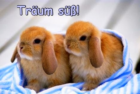 Süße sms sprüche kennenlernen