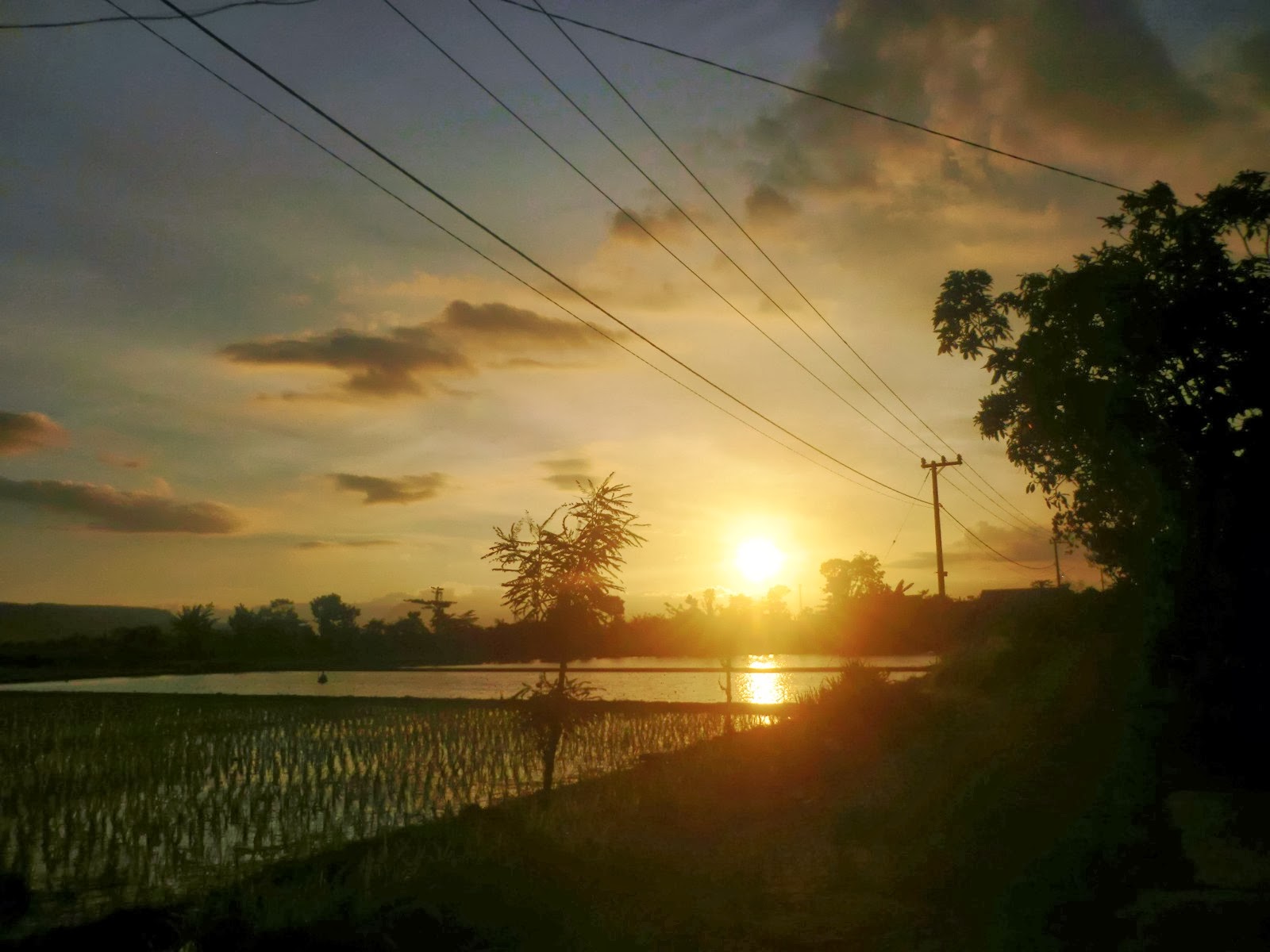 Terkeren 30 Pemandangan Senja Di Kampung Kumpulan Gambar Pemandangan