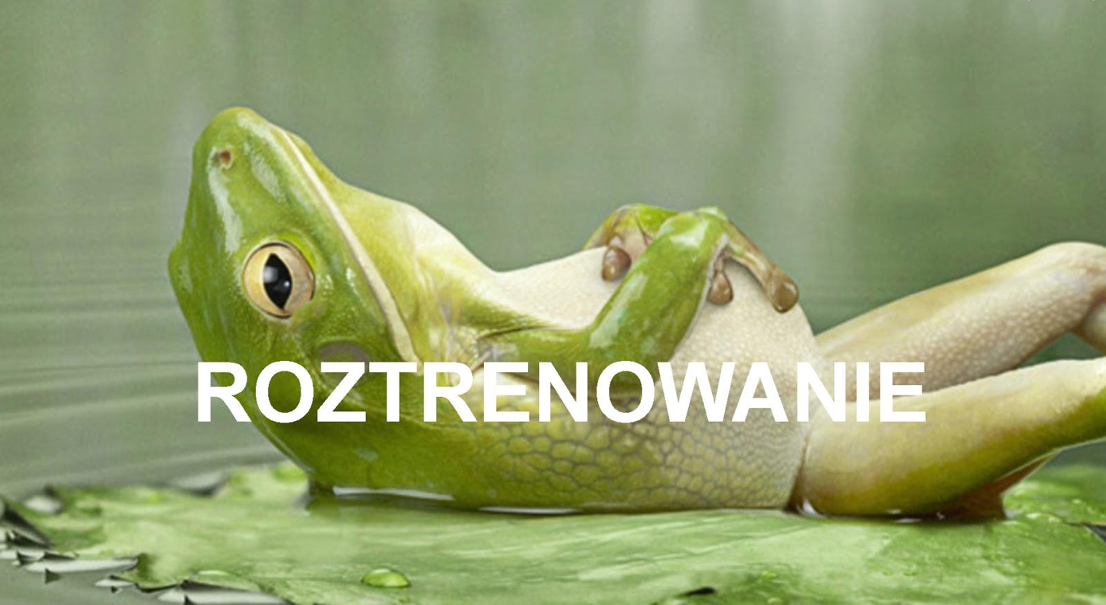 Obrazek
