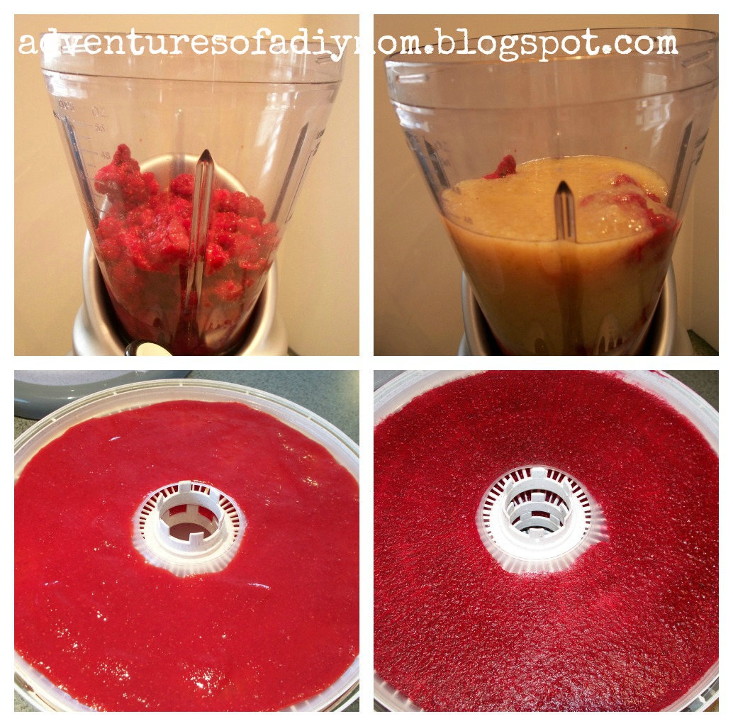 How to Make Fruit Roll Ups Adventures of a DIY Mom