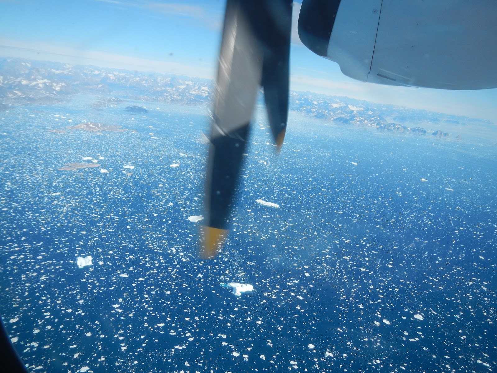 Searching for Gino Watkins 2016 Preview