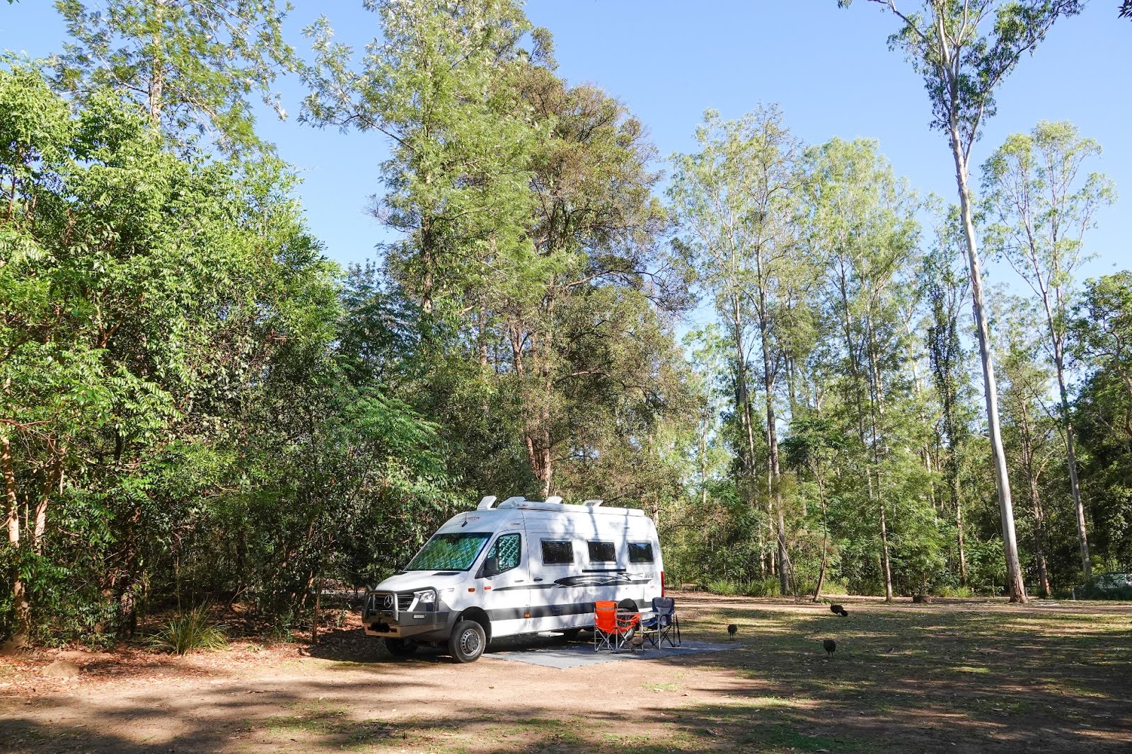 National Park Odyssey Charlie Moreland Camping Area, Imbil State
