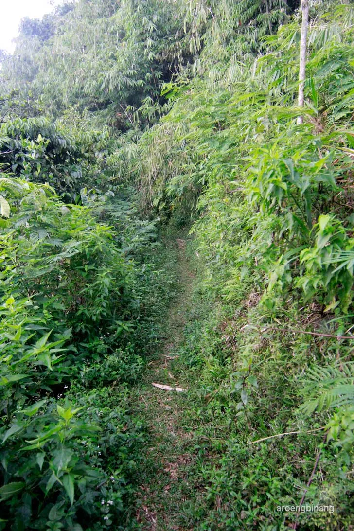 punden jami piciing tenjolaya bogor