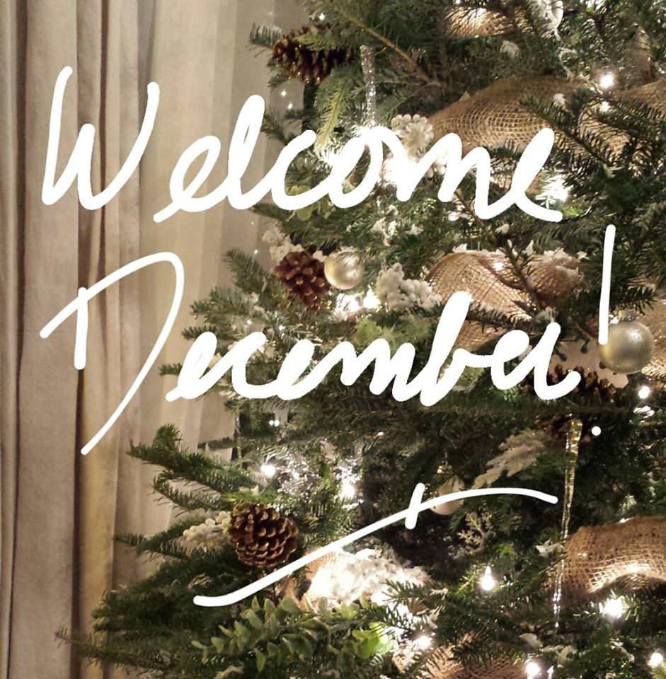 FOCAL POINT STYLING December!