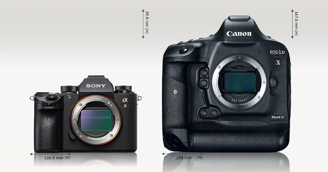 perbedaan kamera DSLR dan kamera mirrorless perbedaan kamera DSLR dan kamera mirrorless