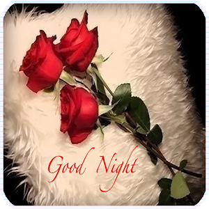 Good Night Poems Good Night Poems