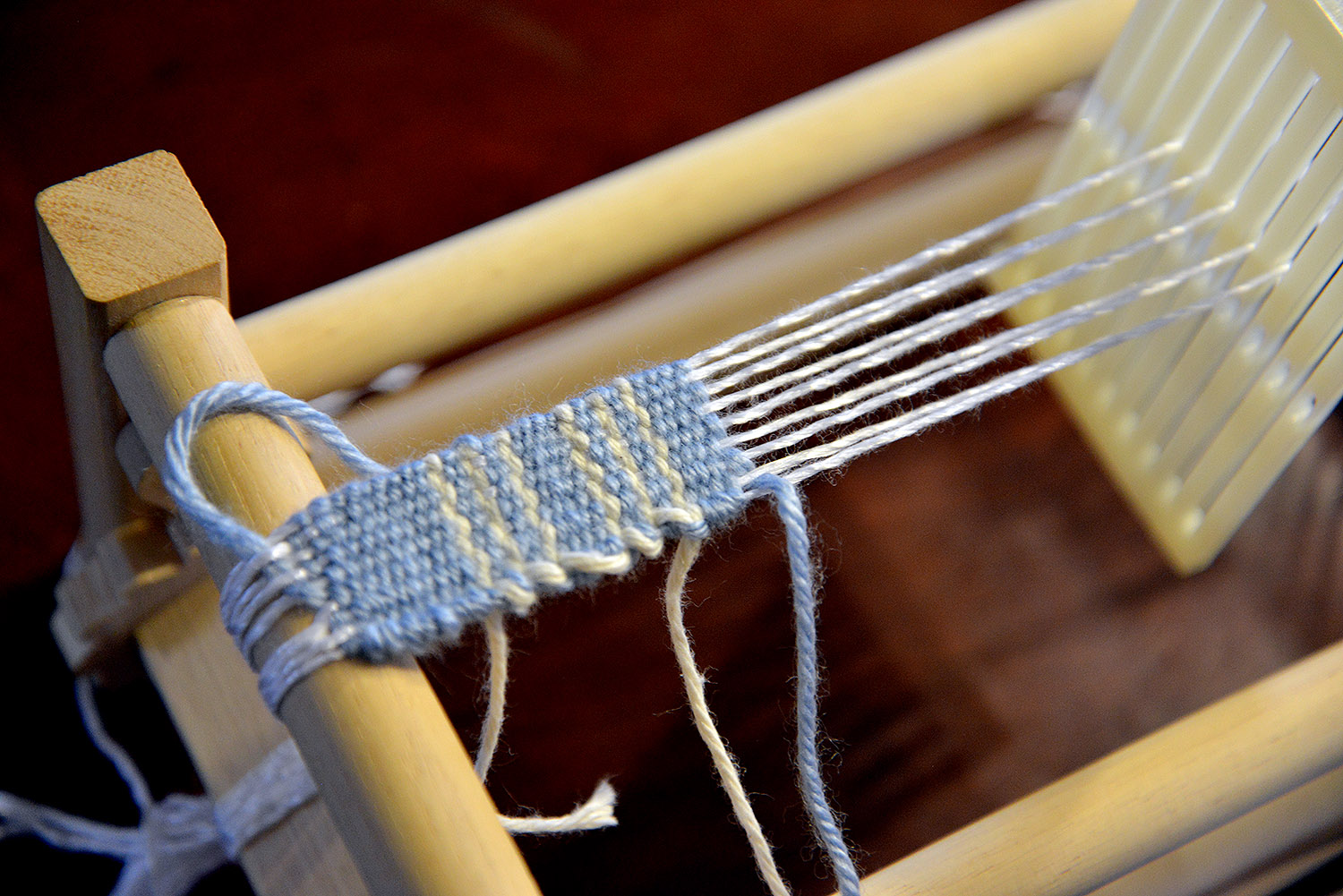 A school of fish Weaving