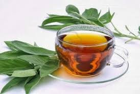 infusiones de salvia para la tos infusiones de salvia para la tos