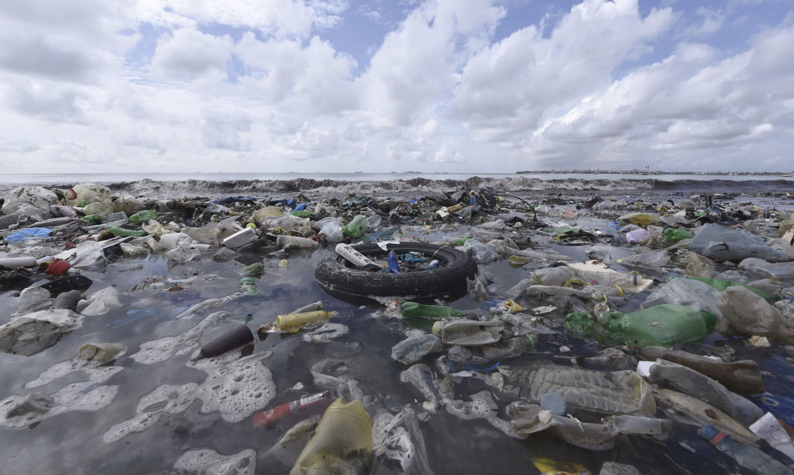 vegan vegetarian eco earth plastic ocean environment plant based eating pollution sea getty images