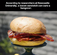 Bacon Hangover1