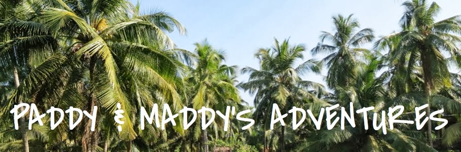 Paddy and Maddy's Adventures
