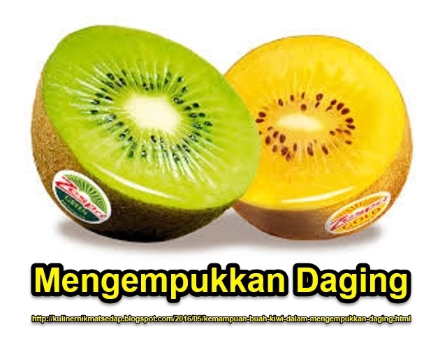 Kemampuan Buah Kiwi Dalam Mengempukkan Daging Kemampuan Buah Kiwi Dalam Mengempukkan Daging