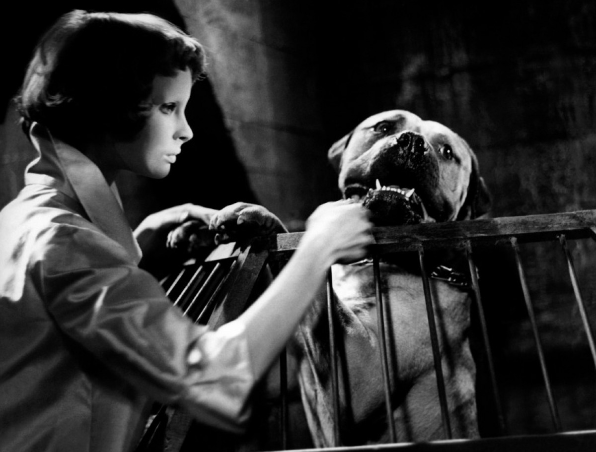 Les Yeux Sans Visage Streaming Petits carnets d'un cinéphile: "Les yeux sans visage" de Georges Franju