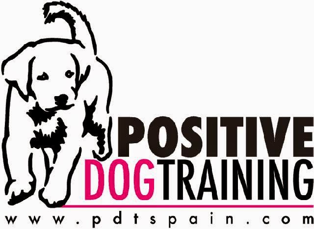 Positive Dog Training Spain