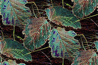 Fauna, Flora, Tiere, Vögel, Fische, Insekten, Blumen, Fauna, Flora, Tiere, Vögel, Fische, Insekten, Blumen,
