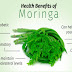 Moringa : Natural Cancer Killer And Anti-Diabetes Herb