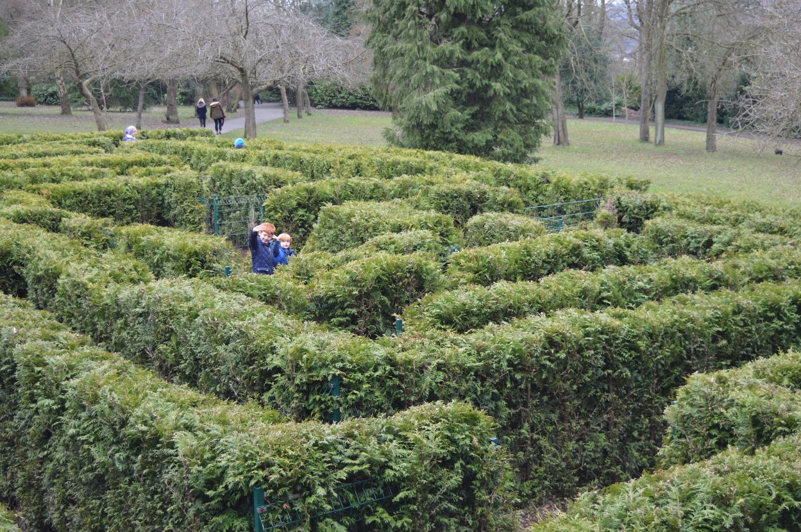Saltwell Park Maze
