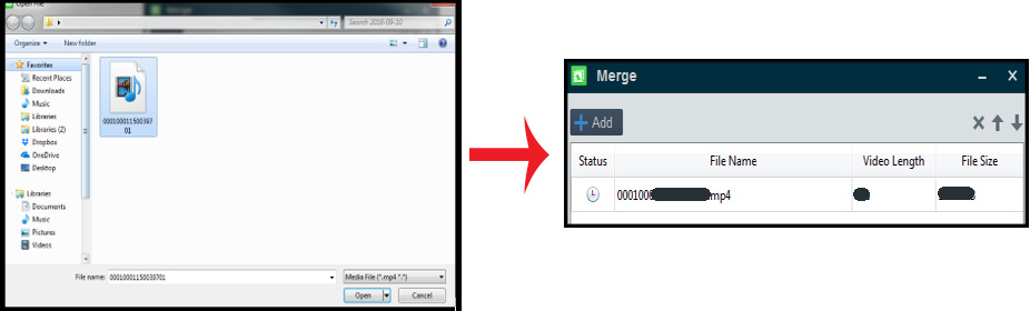 merge Hikvision recording files