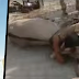 El desgarrador llanto de un señor por su burro agonizando fue empañado por las burlas de los transeúntes