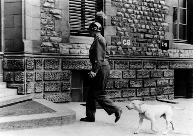 Willie following Patton as he enters his Headquarters at Luxembourg.