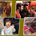 2018 Wrap Up: Videos that went viral on internet this year