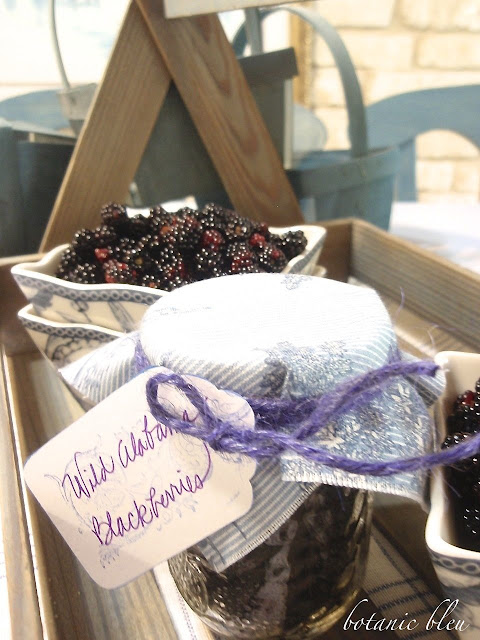 Wild Alabama blackberries covered in sugar make a syrup