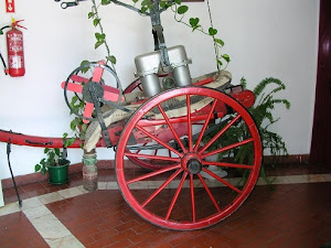 À FLOR DA PELE : BOMBEIROS DE NISA