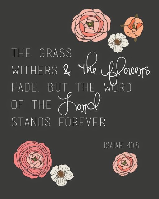 The grass withers & the flowers fade. but the word of the Lord stands