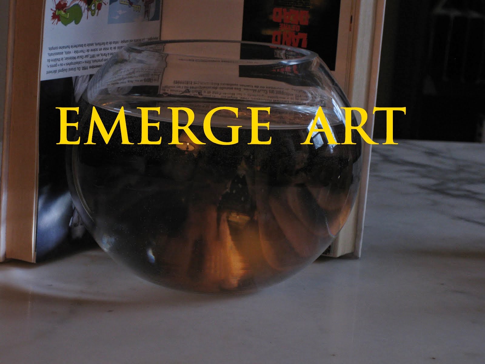 EMERGE ART avec le livre «Extrême: Esthétiques de la limite dépassée» de Paul Ardenne / Flammarion