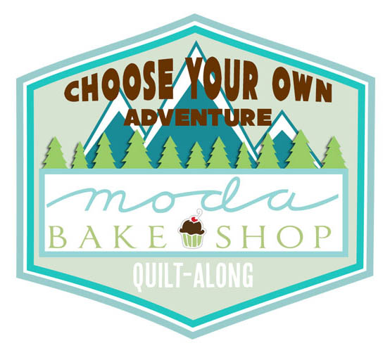 I Co-Hosted Choose Your Own Adventure Quilt-Along