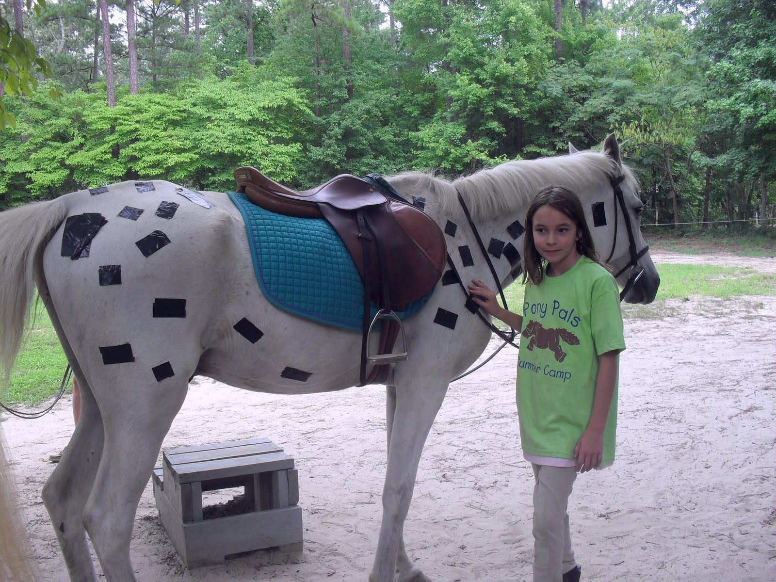 The Crazy Days Horse Camp!!! Dress up the Horses!