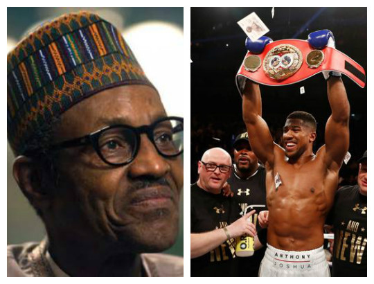 Nigeria plans inviting boxing champion, Anthony Joshua